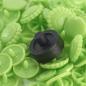 Preview: Druckknöpfe Color Snaps Blume