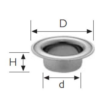 541556