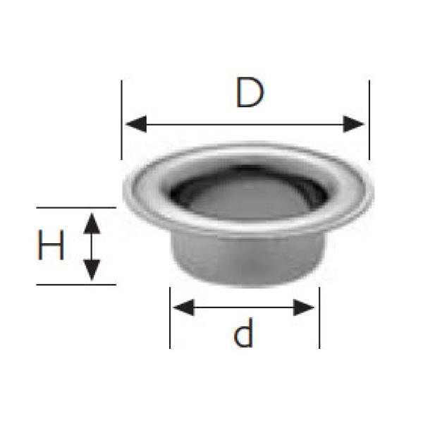 541556
